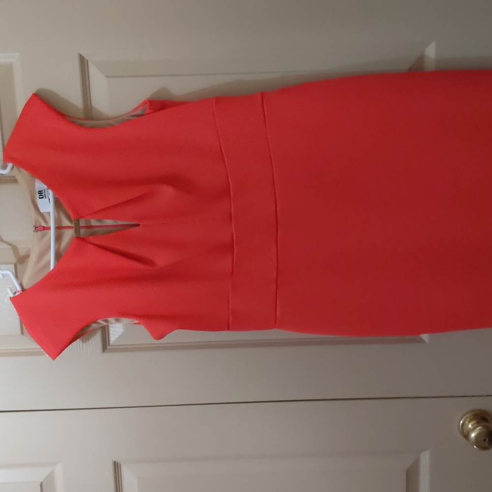 DR Collection Dress Size 16